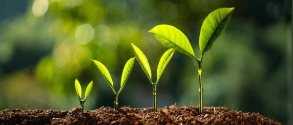 How to Nurture Leads: Untapped Potential for Sales and Marketing Teams
