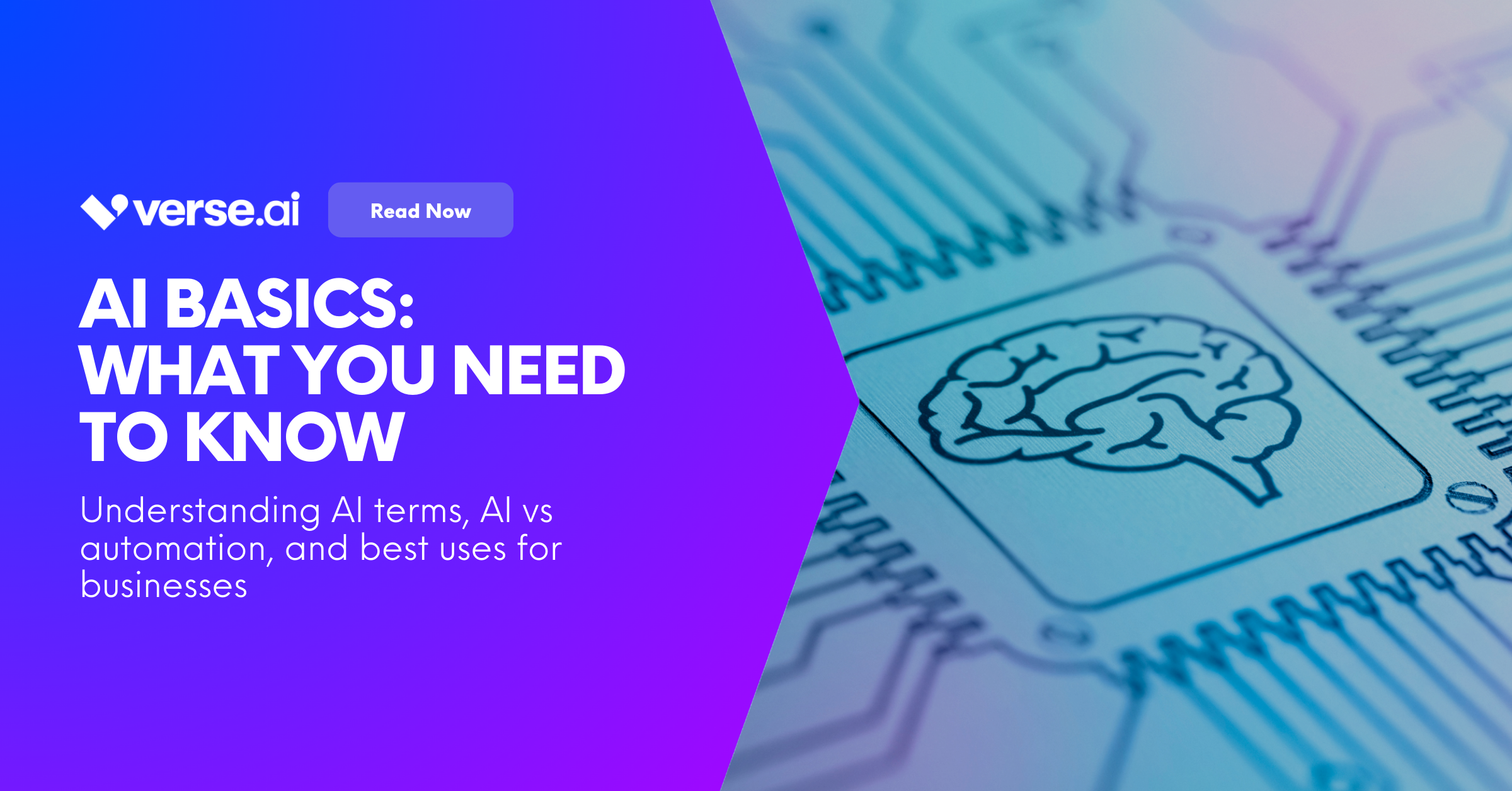 AI Basics: What You Need to Know