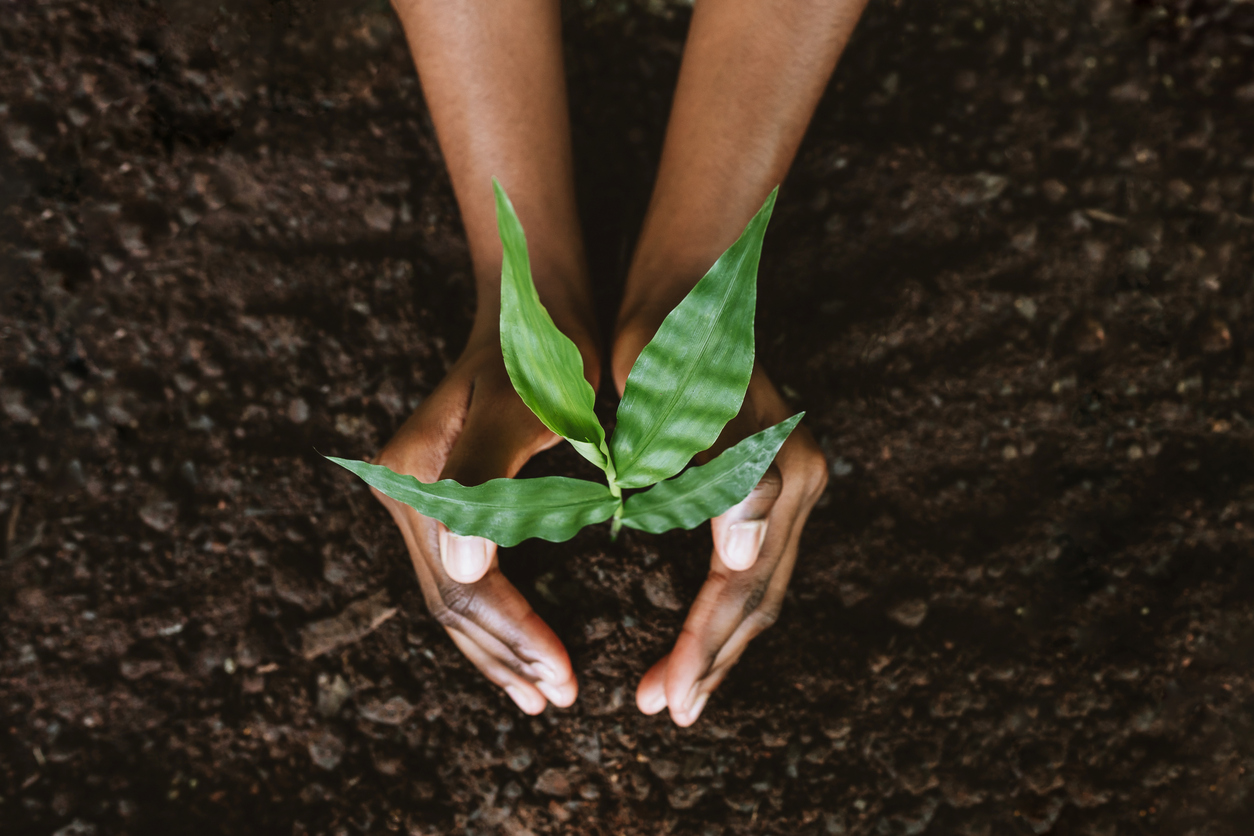 A new plant represents the effort needed to nurture leads through the sales funnel. 