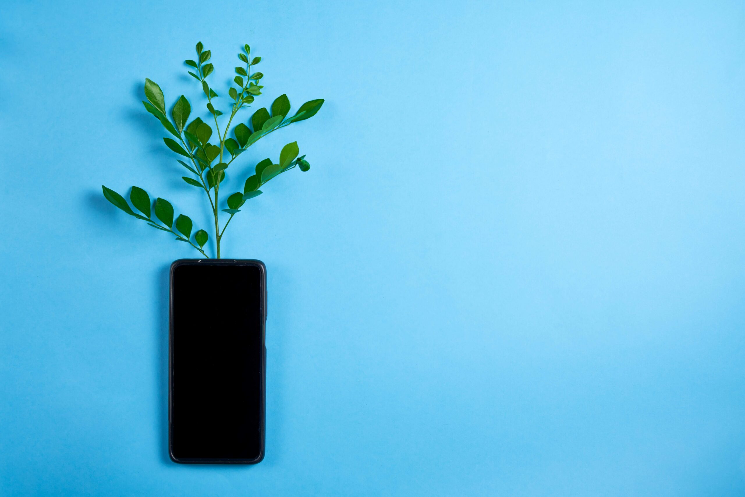 Smartphone with a plant growing on it, symbolizing the use of SMS for lead nurturing