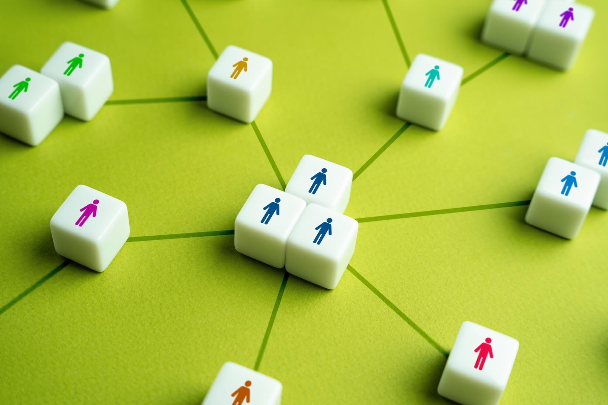 Franchise lead network